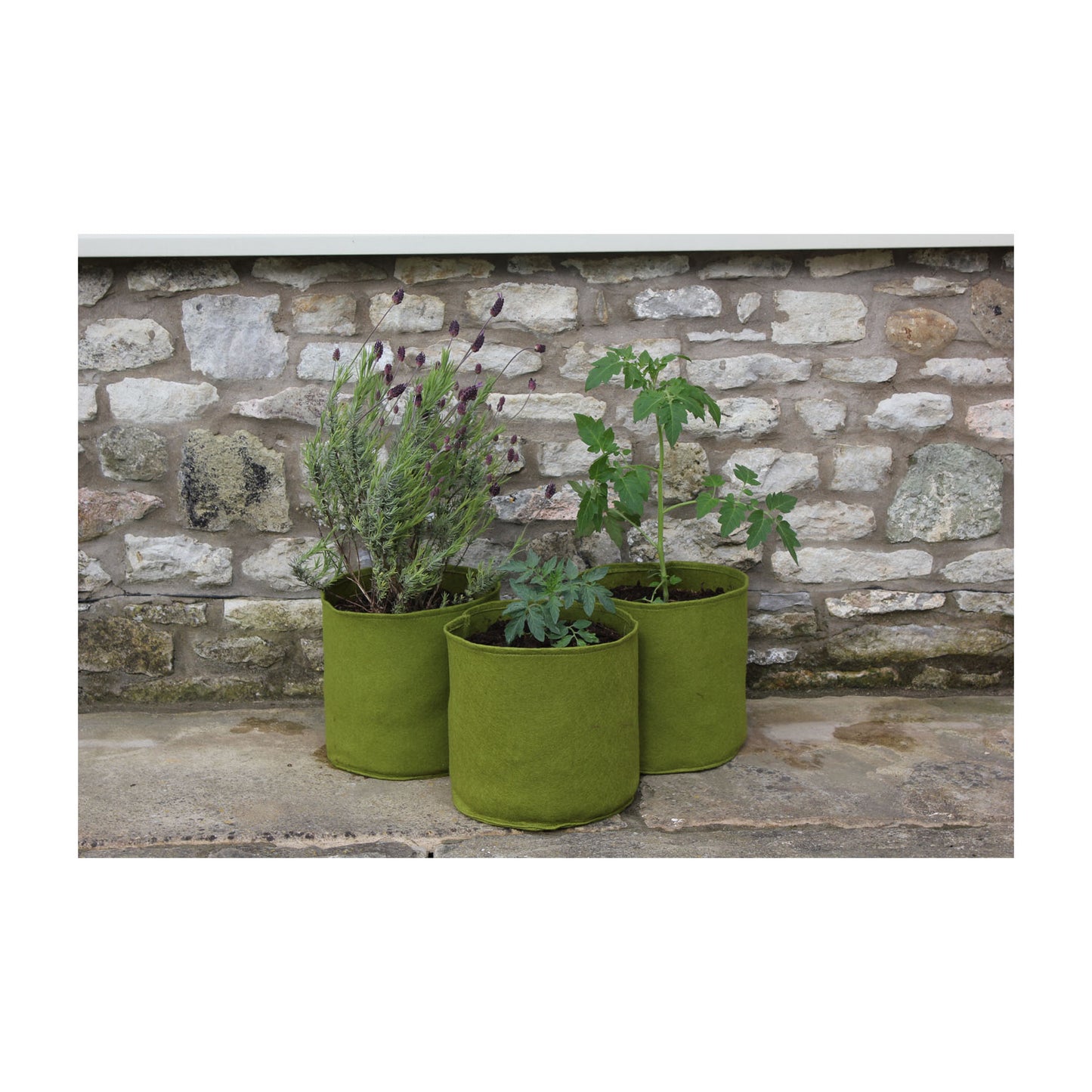 2.6 Gal Vigoroot Pots 3pk -Ship Only