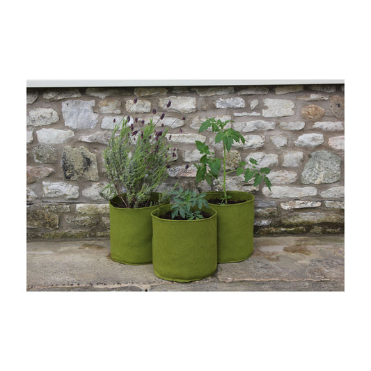2.6 Gal Vigoroot Pots 3pk -Ship Only