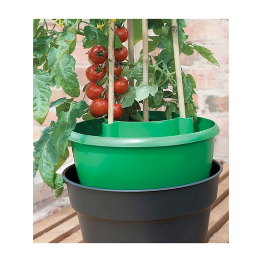 Green Plant Halos 3pk -Ship Only