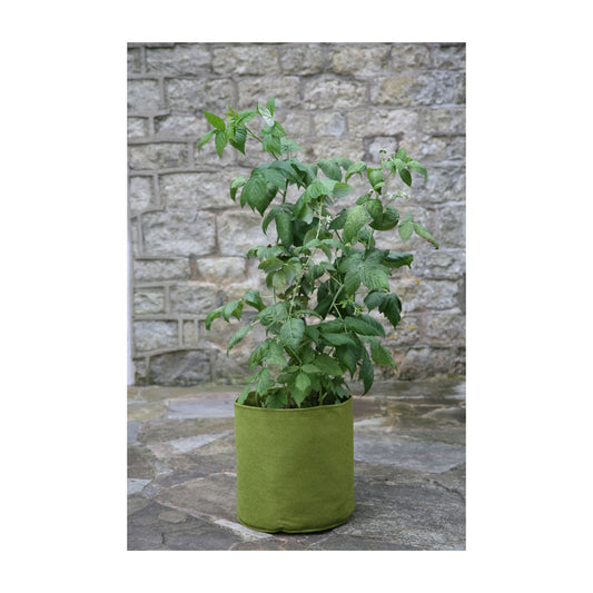 4.0 Gal Vigoroot Pots 3pk -Ship Only