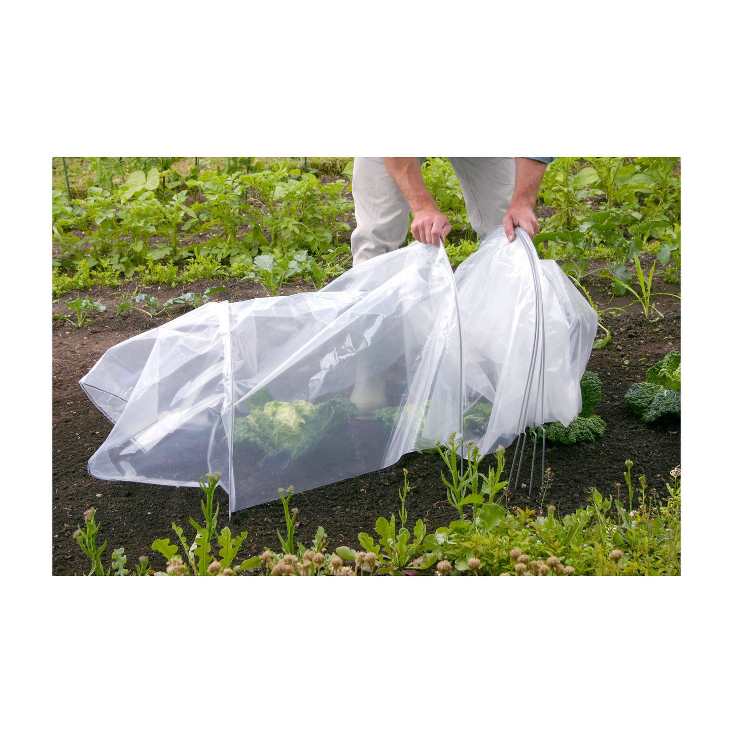 Giant Easy Poly Tunnel -Ship Only