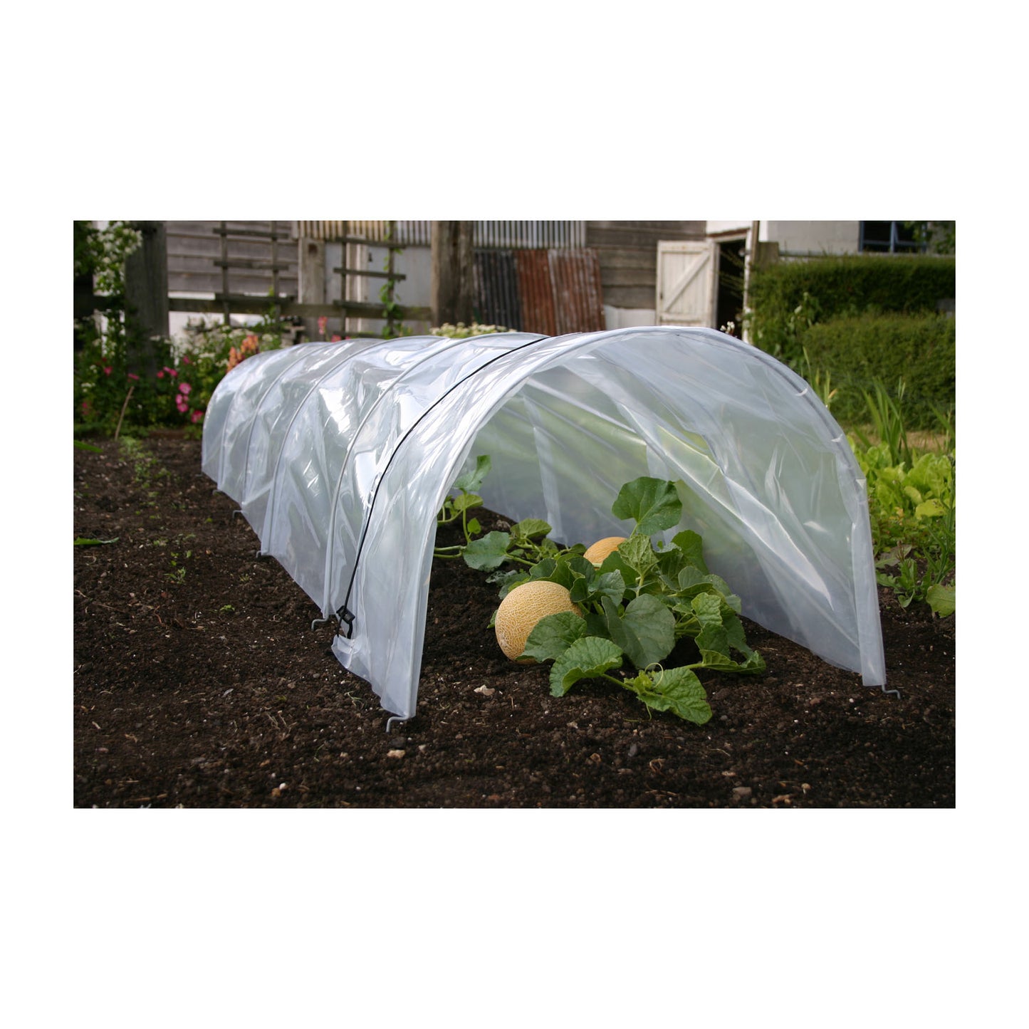 Giant Easy Poly Tunnel -Ship Only