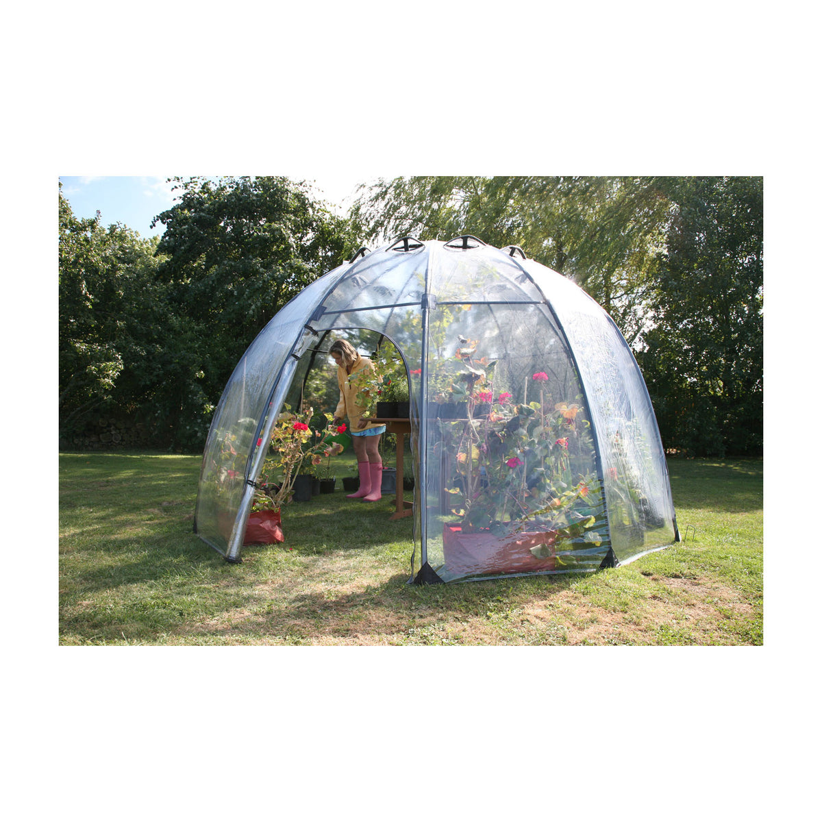 Large Sunbubble Greenhouse -Ship Only