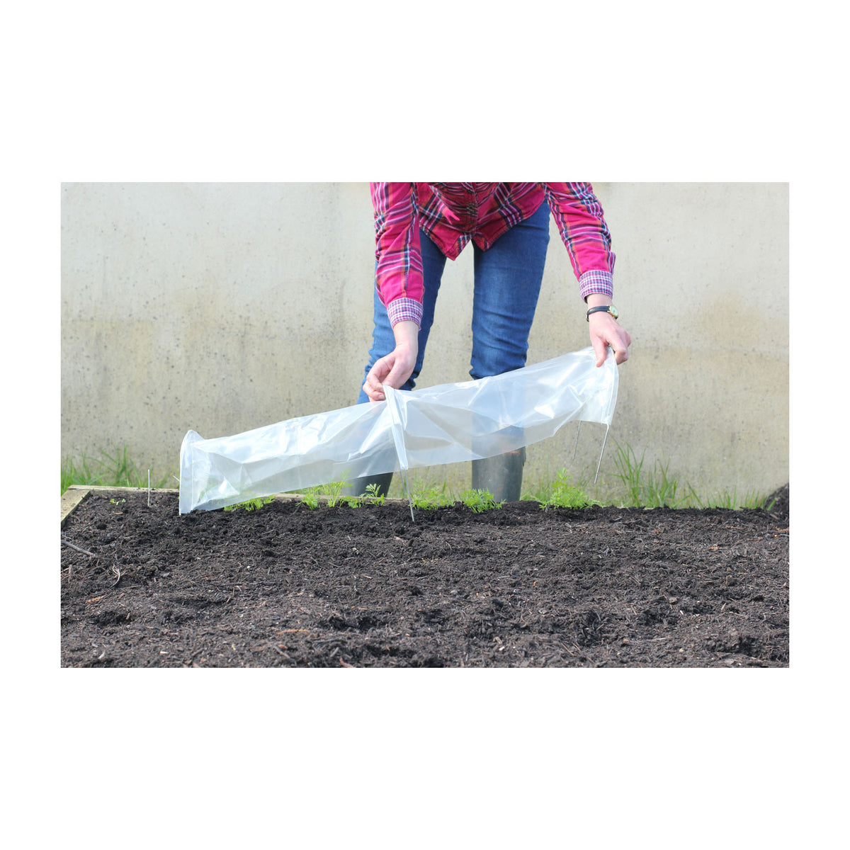 Easy Seedling Tunnel 3pk -Ship Only