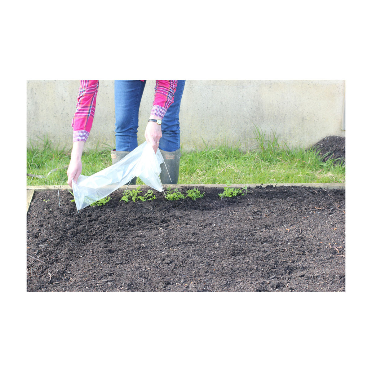 Easy Seedling Tunnel 3pk -Ship Only