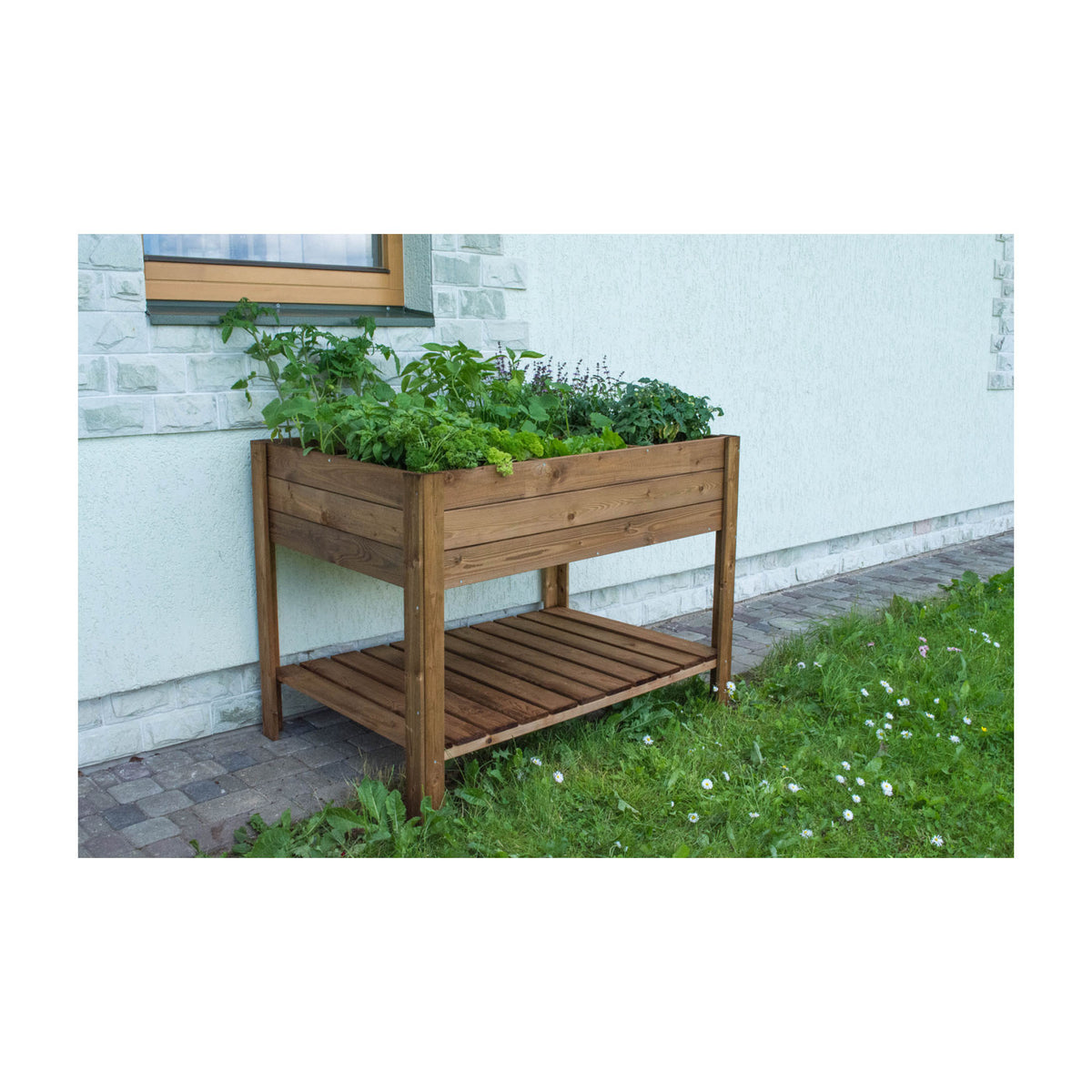 Rectangular Raised Bed with Shelf -Ship Only