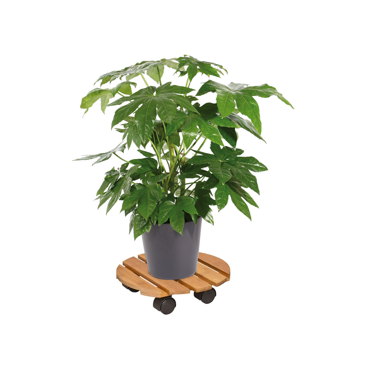 11.4" Round Bamboo Plant Caddy -Ship Only