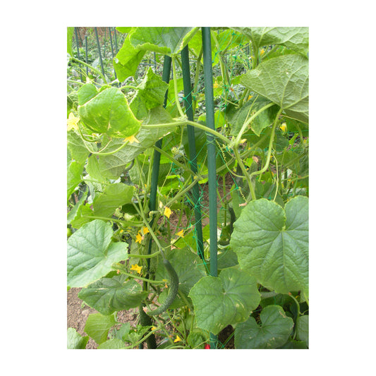 48" Metal Garden Stake -Ship Only