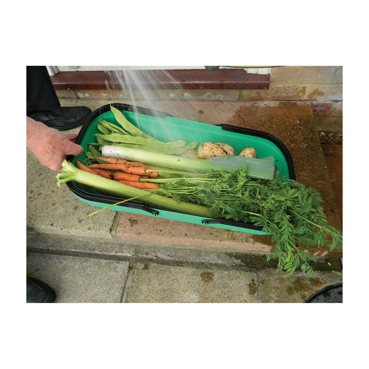 Green Colander Trug -Ship Only