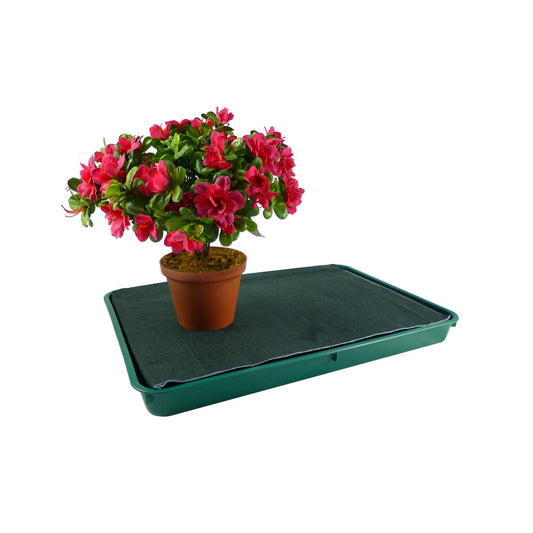 Large Green Self-Watering Tray -Ship Only
