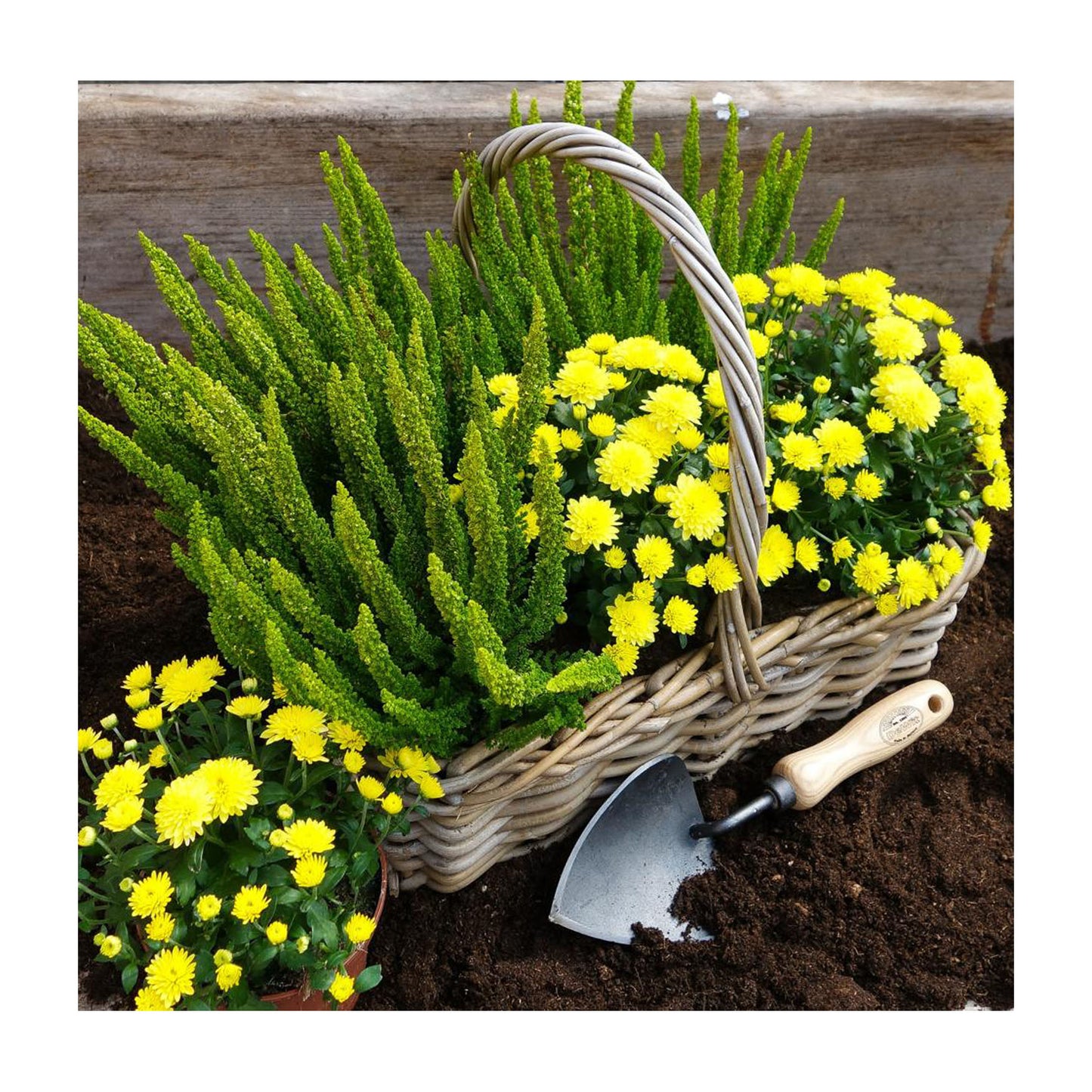 DeWit Trowel - Potting -Ship Only
