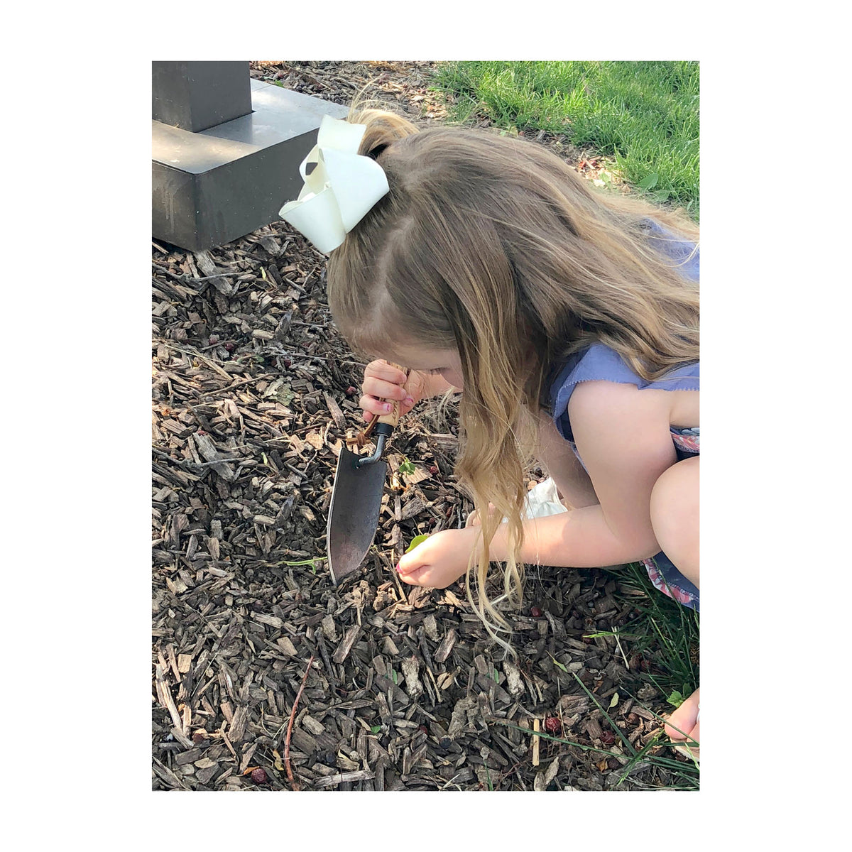 DeWit Junior Trowel - Planting -Ship Only