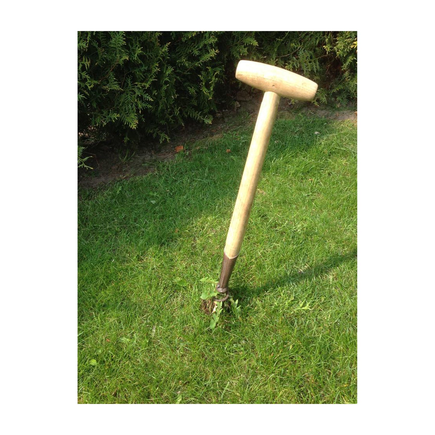 DeWit Weeder - Corkscrew -Ship Only