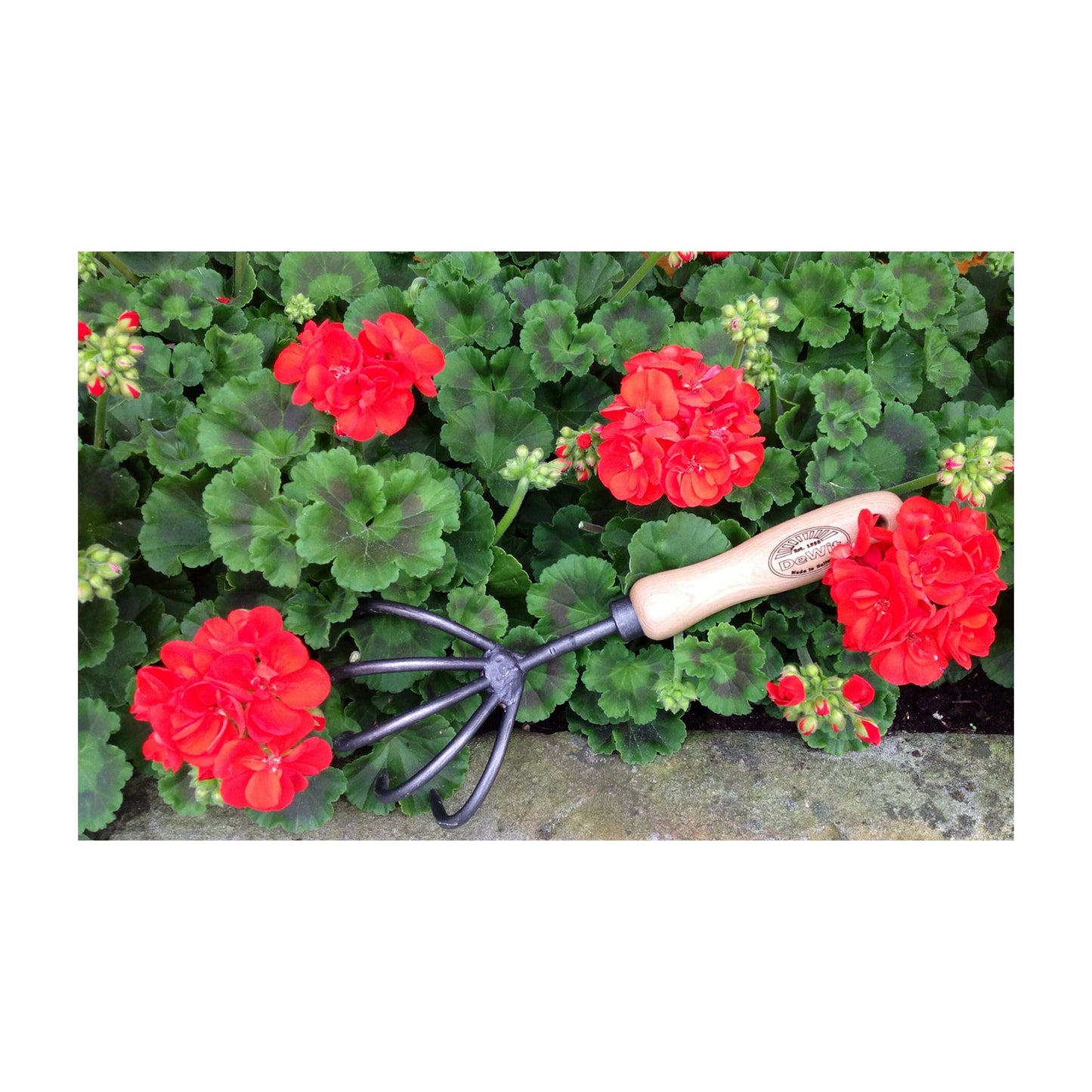 DeWit Cultivator - 5 Tine -Ship Only