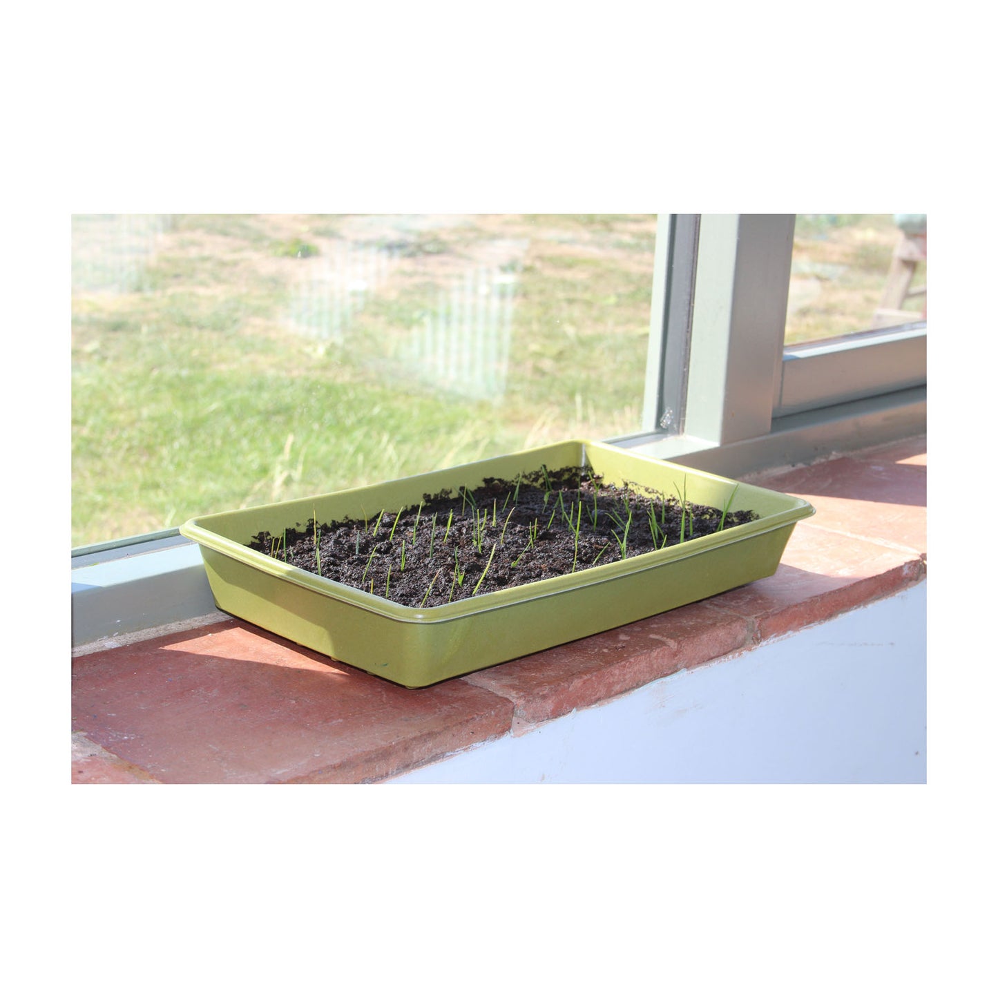 Bamboo Seed Tray -Ship Only
