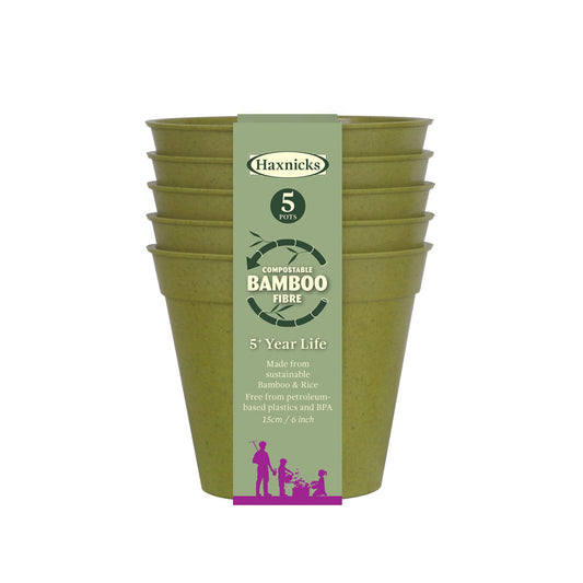 6" Green Bamboo Pot 5pk -Ship Only