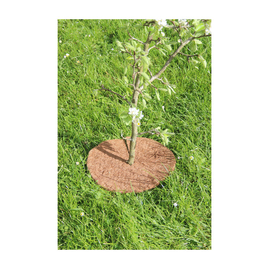 12" Round Coco Tree Mat 3pk -Ship Only