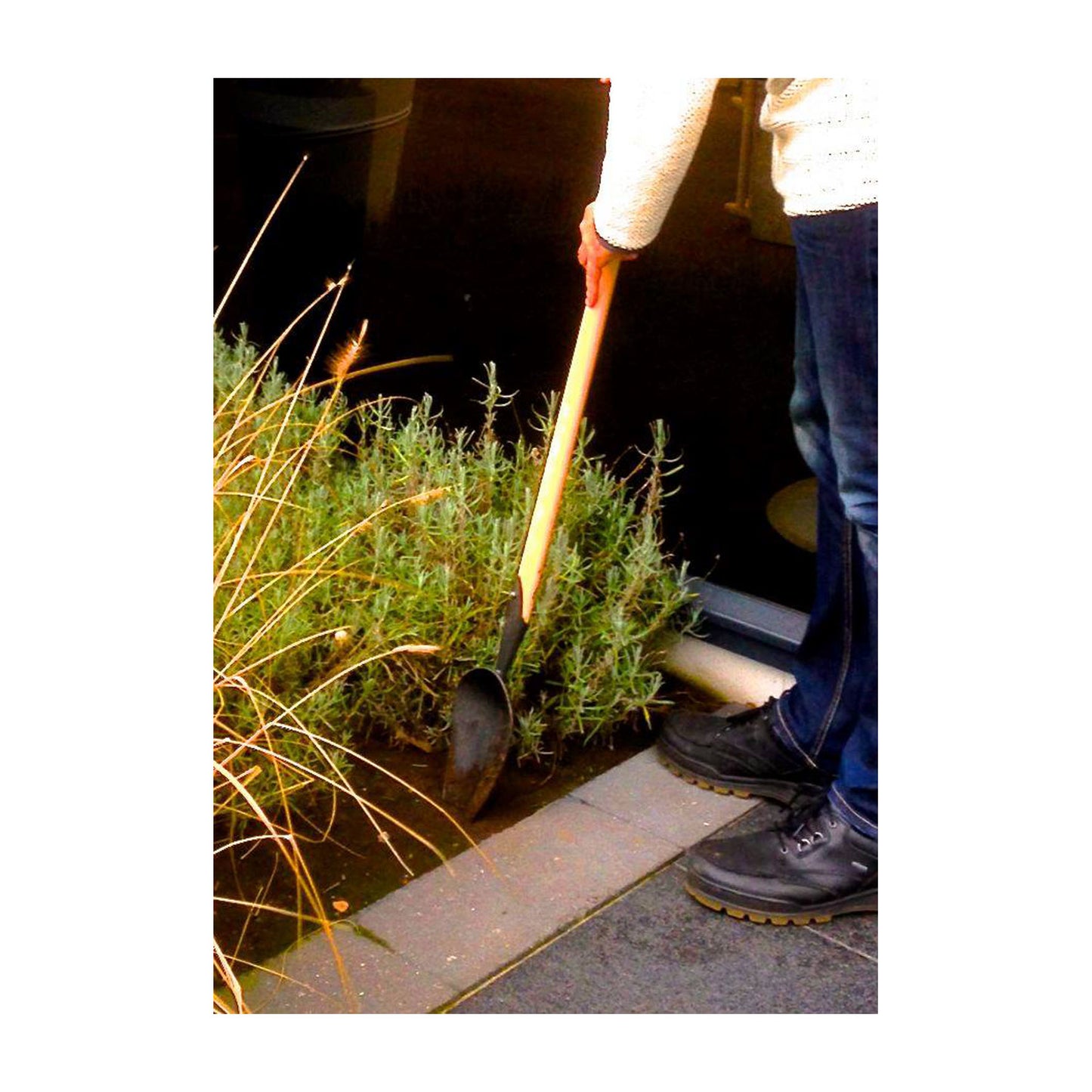 DeWit Scoop - Compost Digging T-Handle -Ship Only
