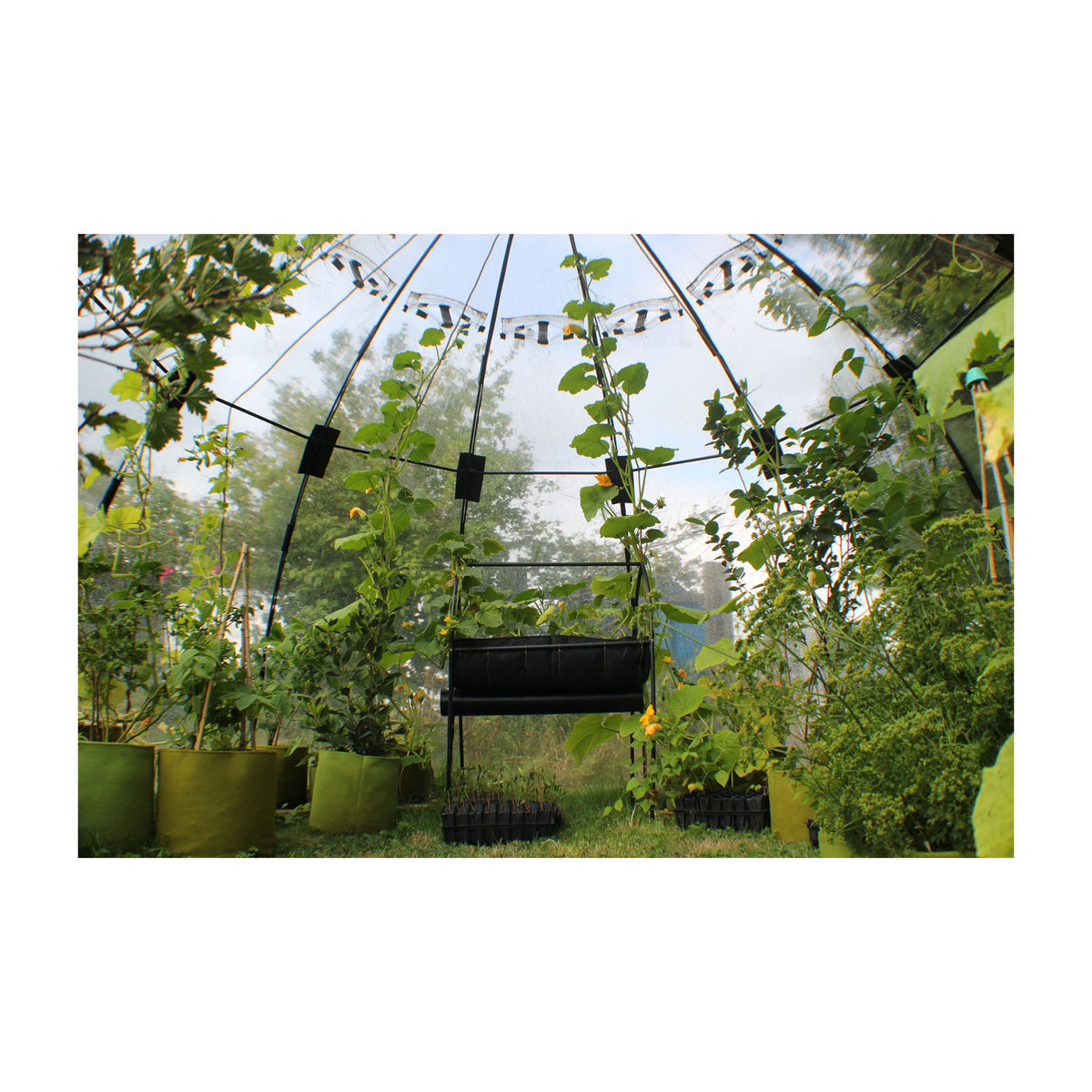 Large Sunbubble Greenhouse -Ship Only