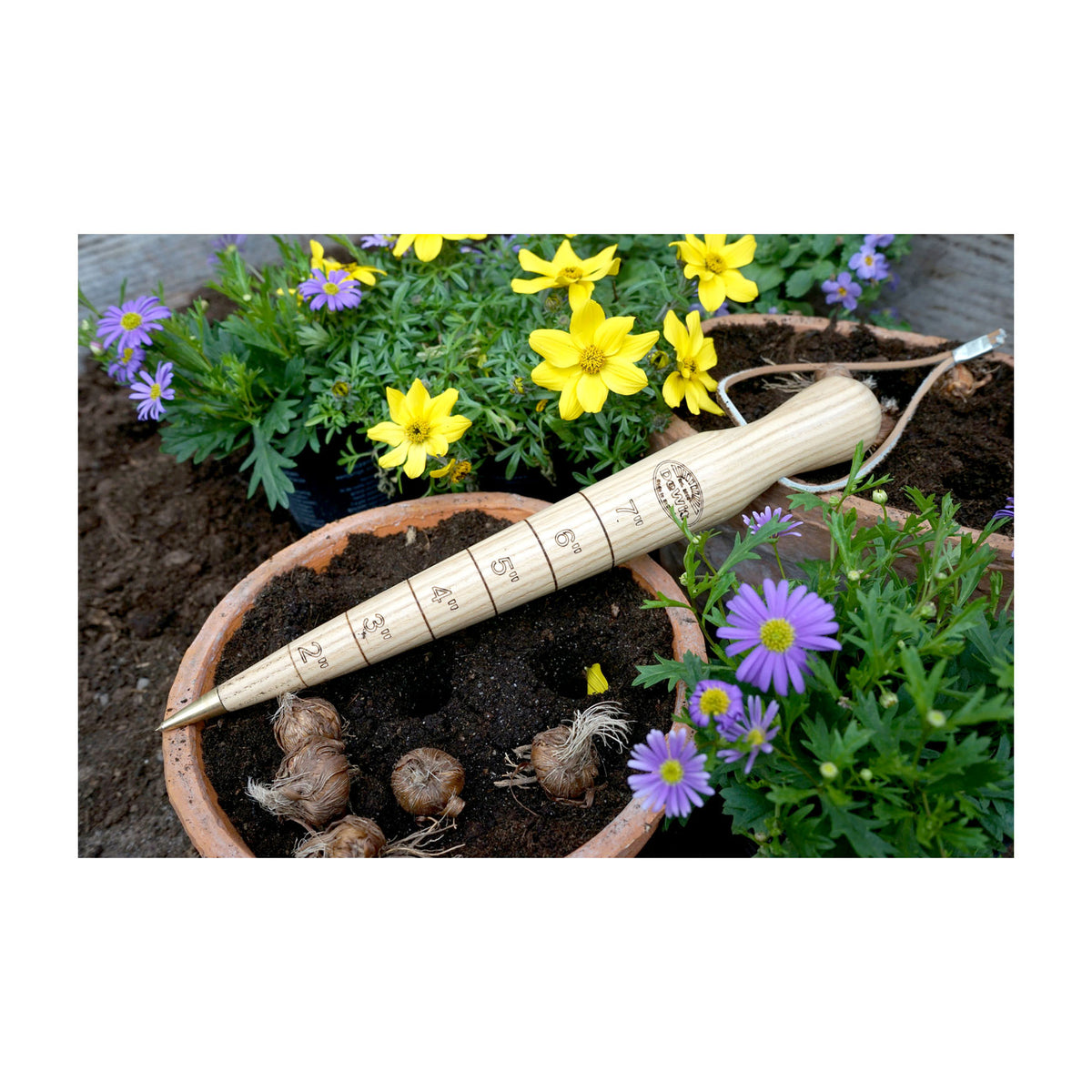 DeWit Dibber - Wooden with Brass Tip -Ship Only