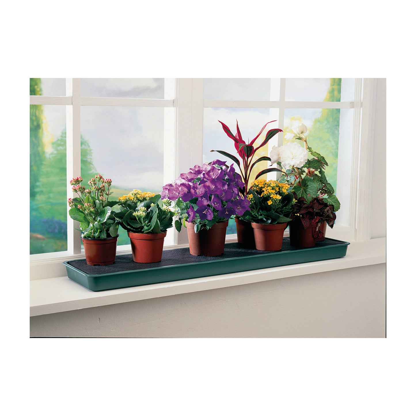 Green Windowsill Tray -Ship Only