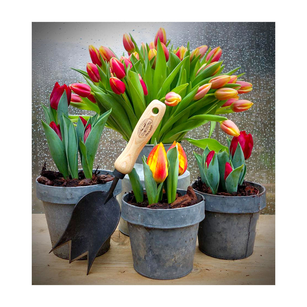 DeWit Trowel - Tulip -Ship Only