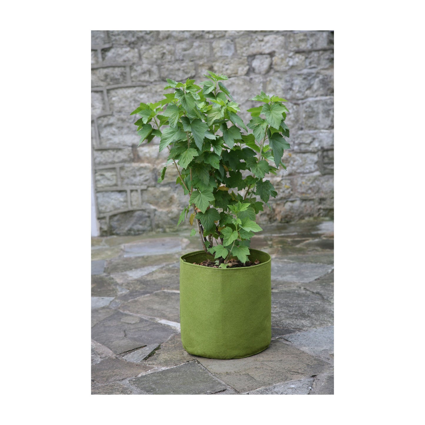 5.3 Gal Vigoroot Pots 3pk -Ship Only