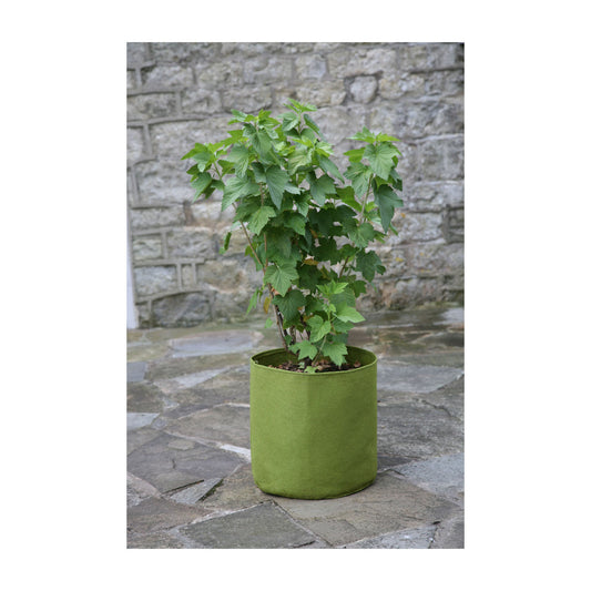 5.3 Gal Vigoroot Pots 3pk -Ship Only