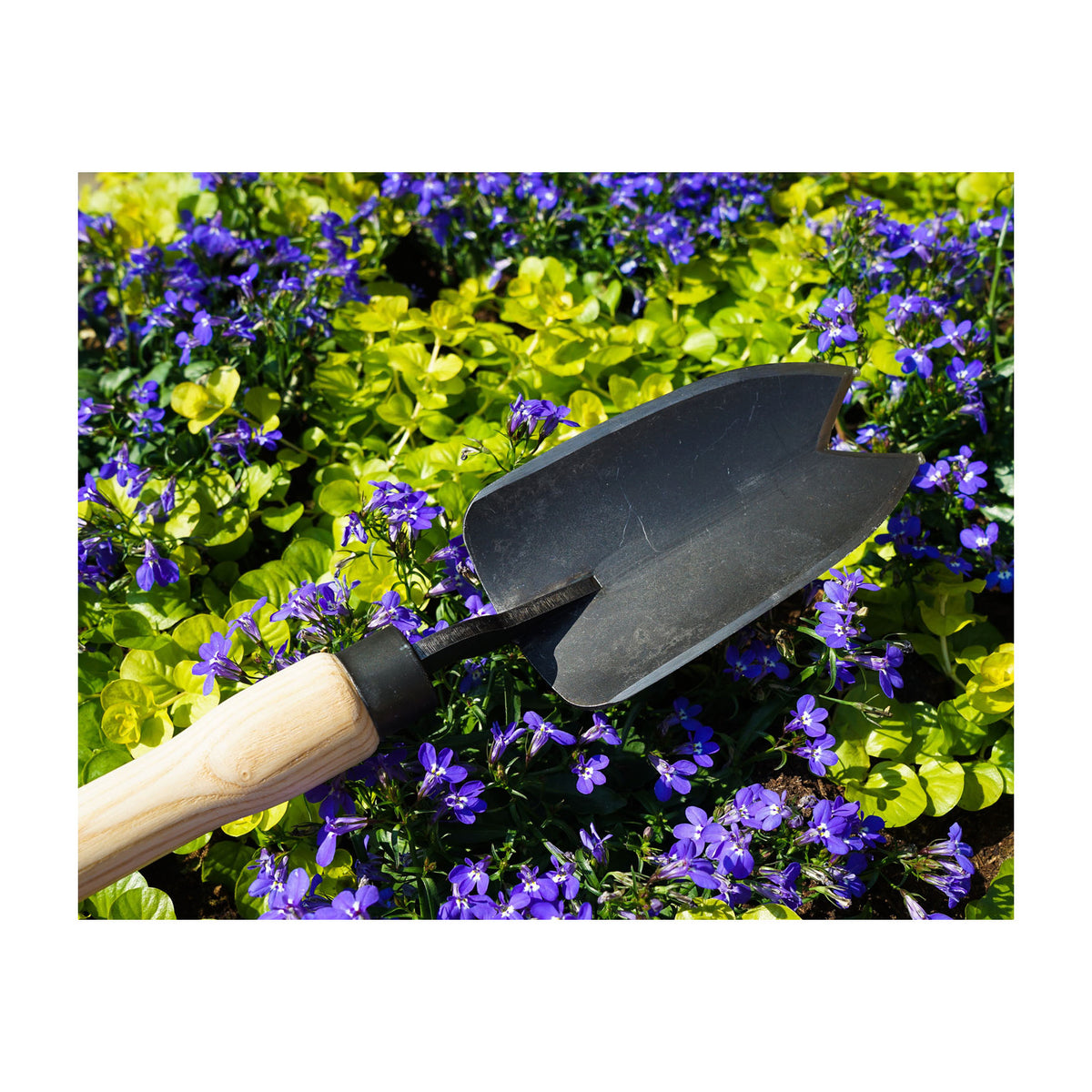 DeWit Trowel - 2 Point Cutting Edge Large Welldone -Ship Only
