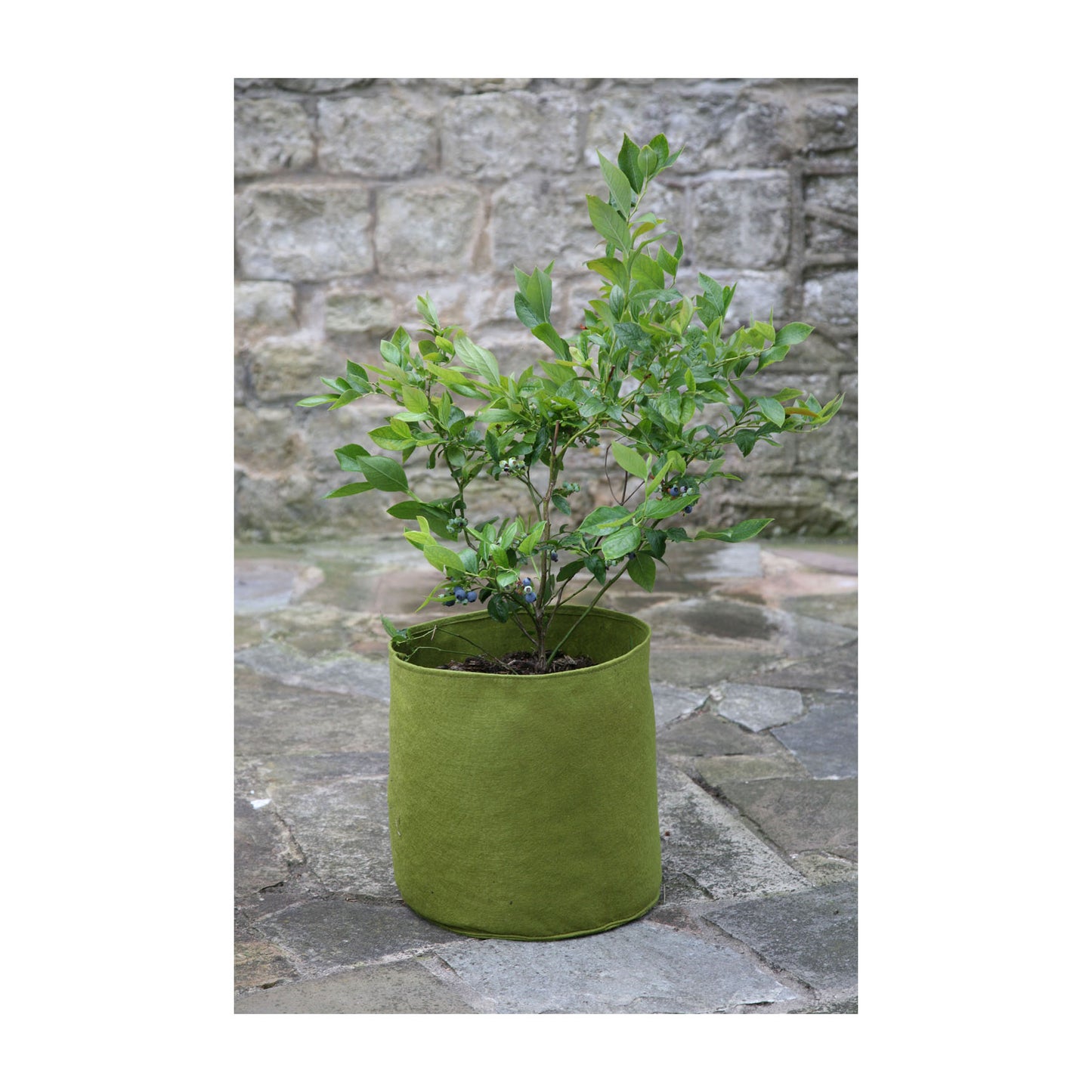 2.6 Gal Vigoroot Pots 3pk -Ship Only