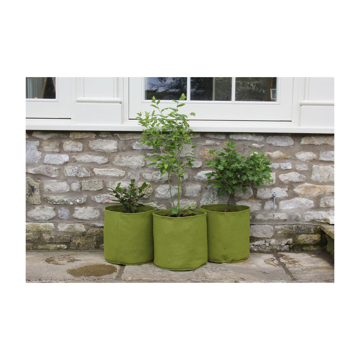 4.0 Gal Vigoroot Pots 3pk -Ship Only