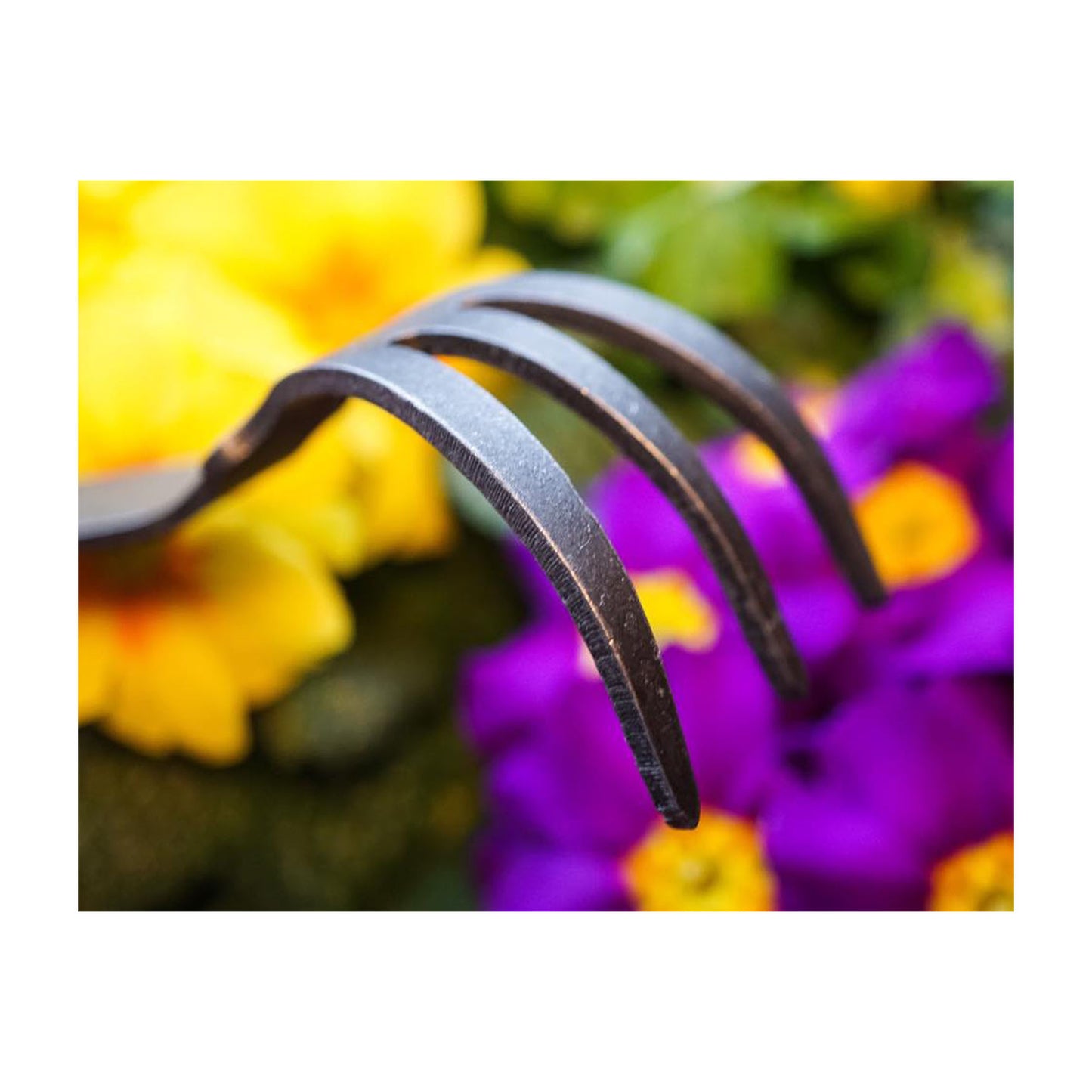 DeWit Cultivator - Bio 3 Tine -Ship Only