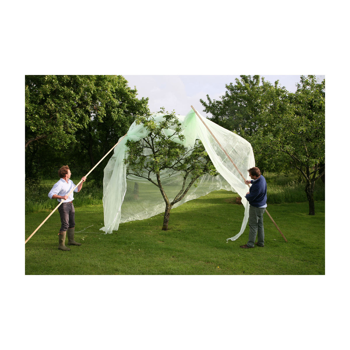 6.6' x 6.6' Fruit Tree Cover -Ship Only