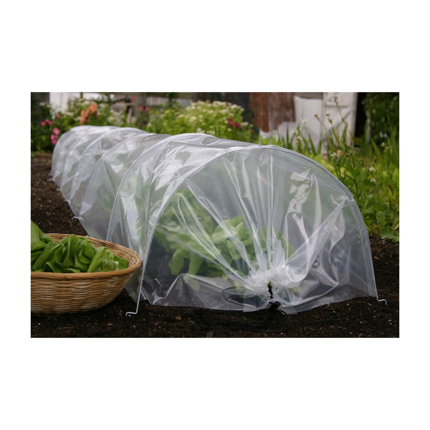 Easy Poly Tunnel -Ship Only