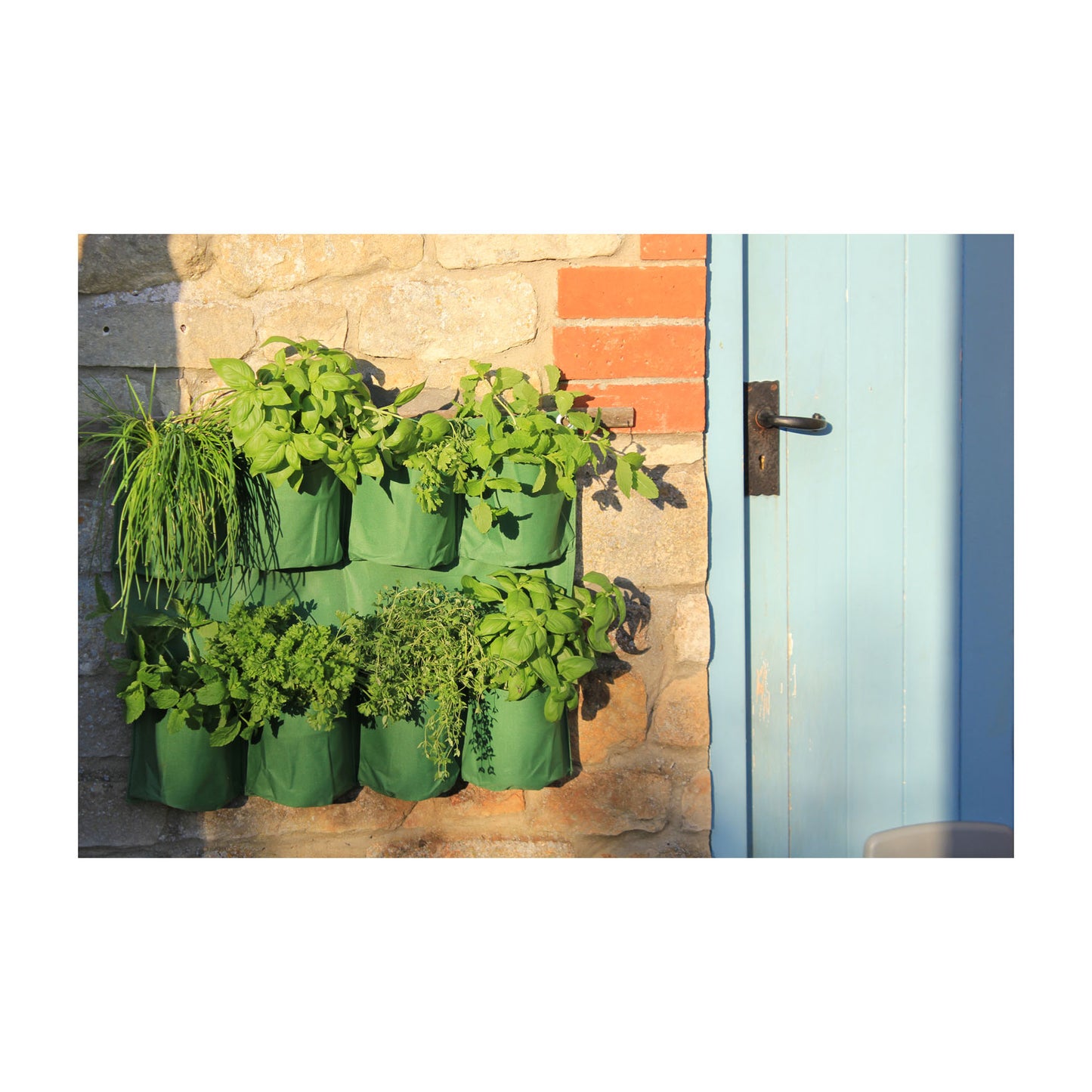 Herb Wall Planter -Ship Only