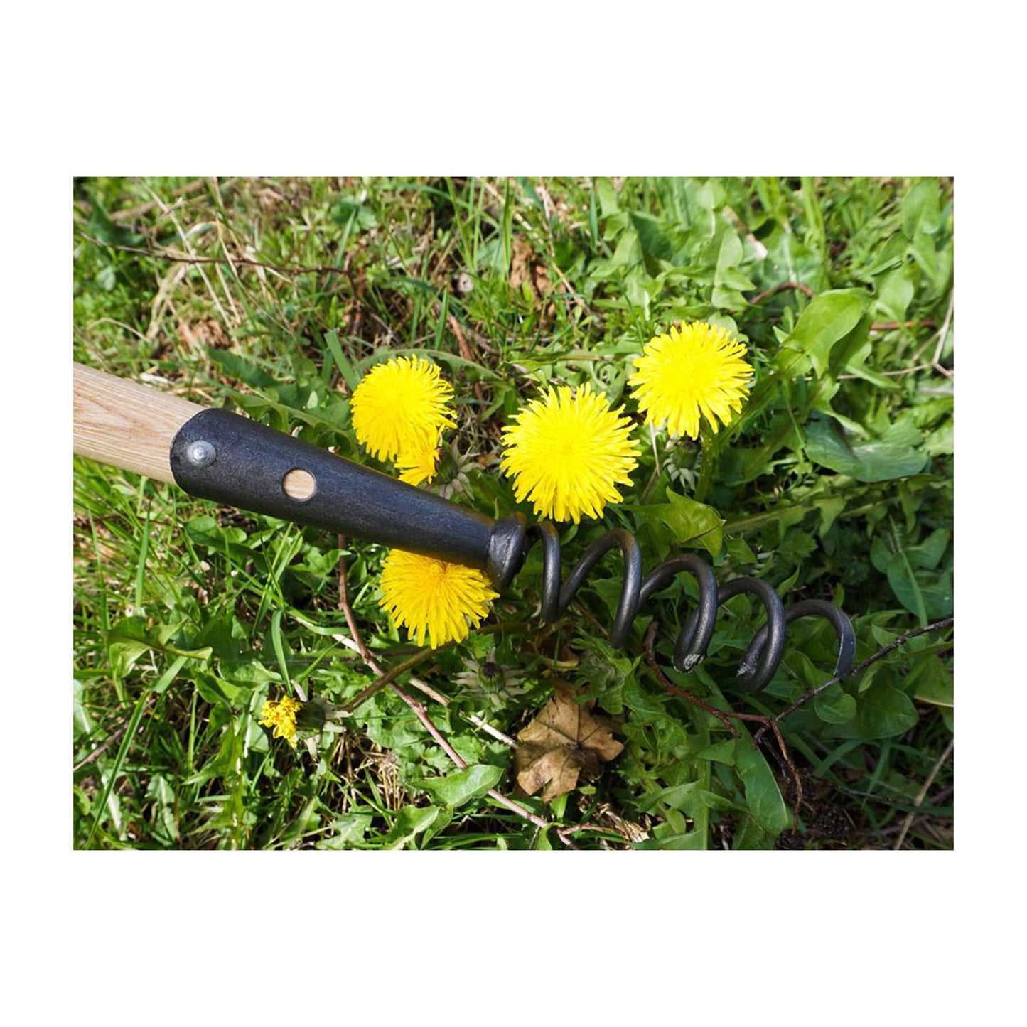 DeWit Weeder - Corkscrew Long Handle -Ship Only