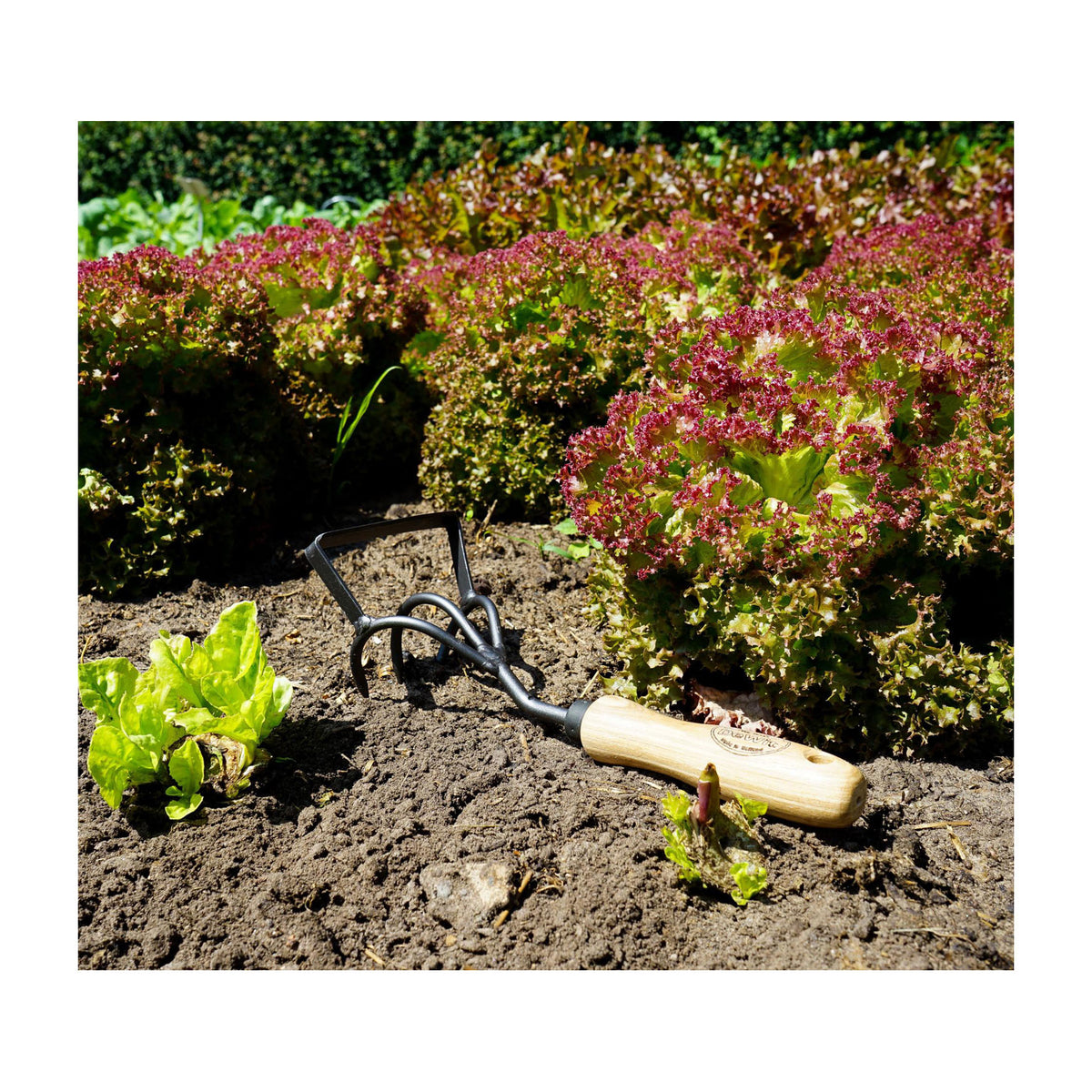 DeWit Cultivator Stirrup Hoe -Ship Only