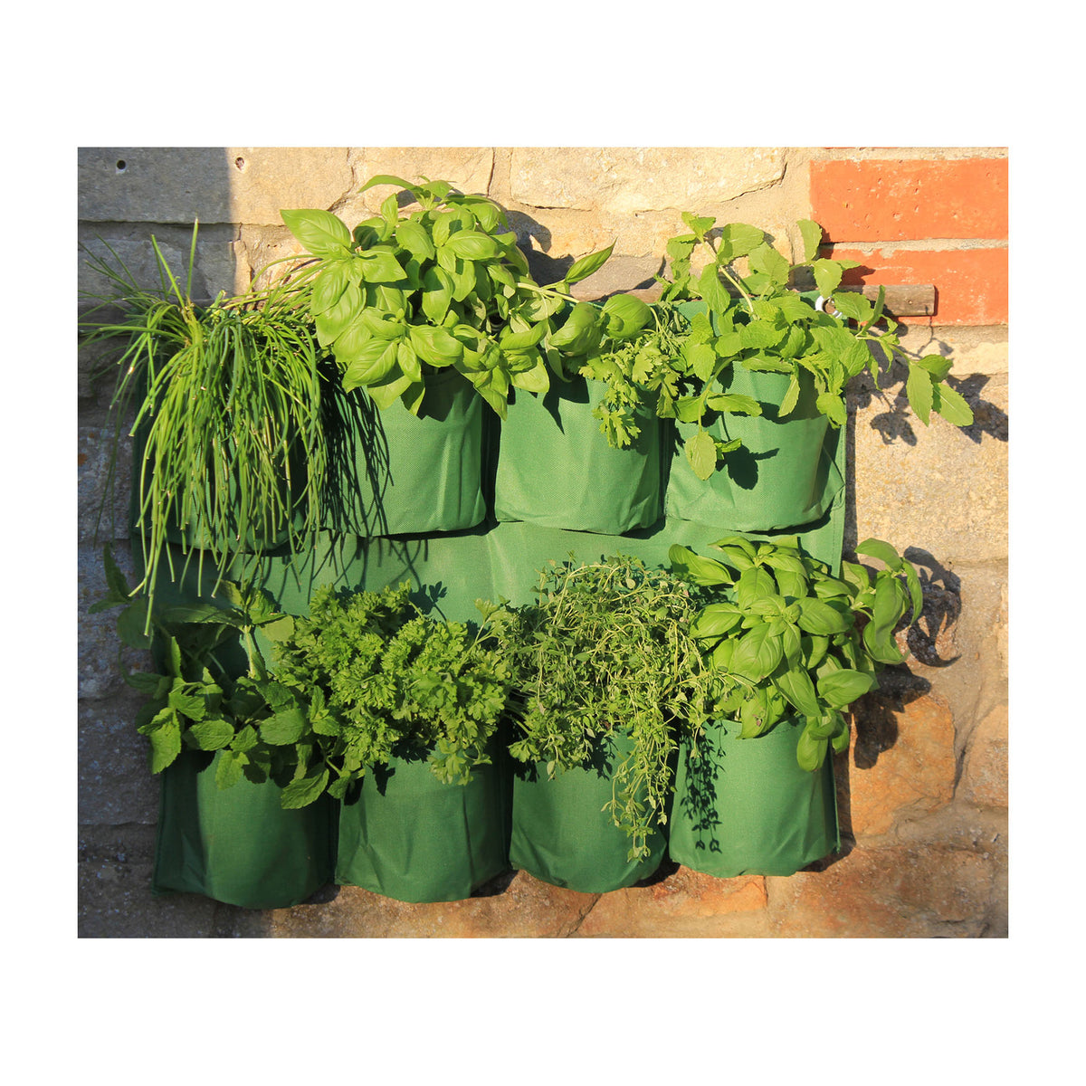Herb Wall Planter -Ship Only