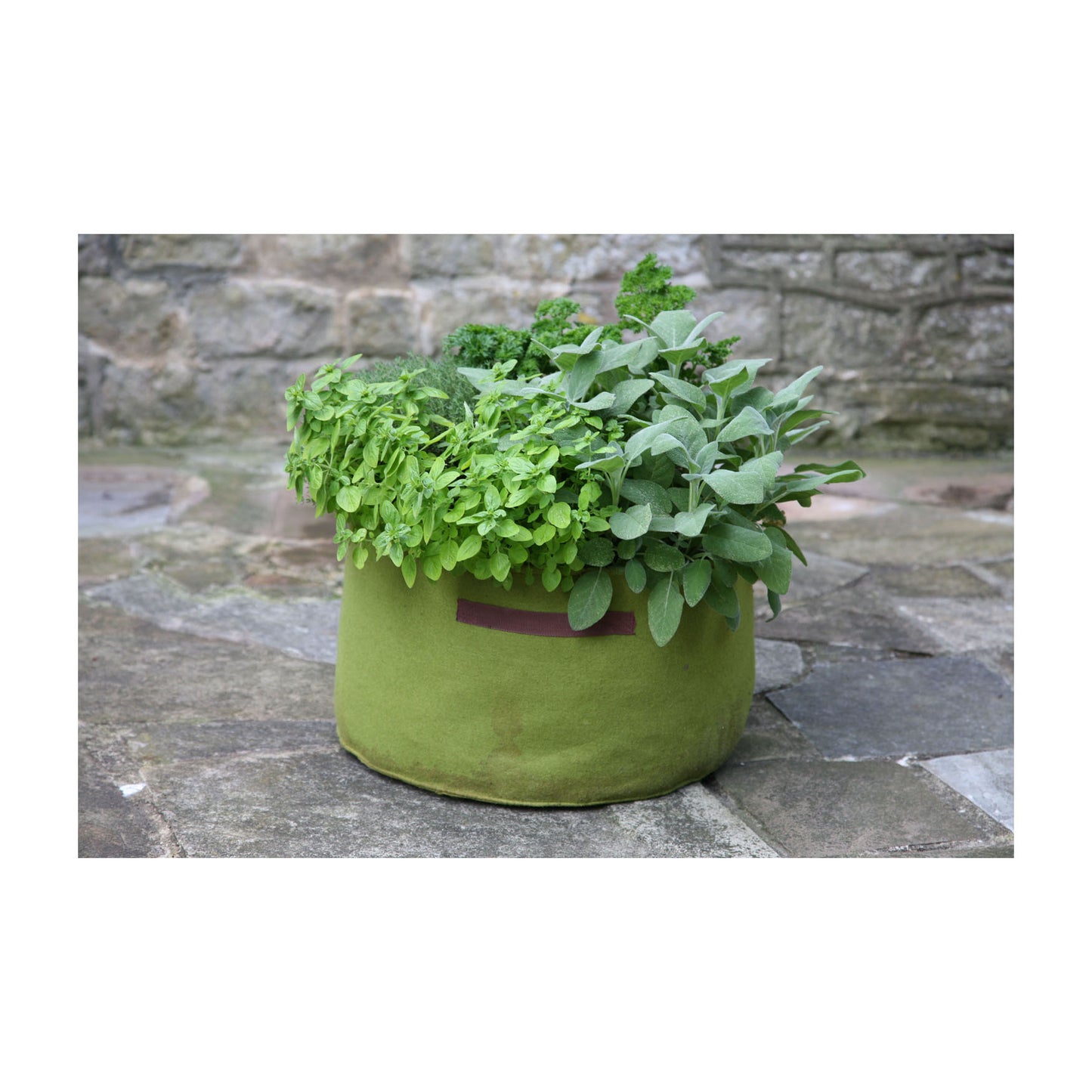 Vigoroot Herb Planter -Ship Only