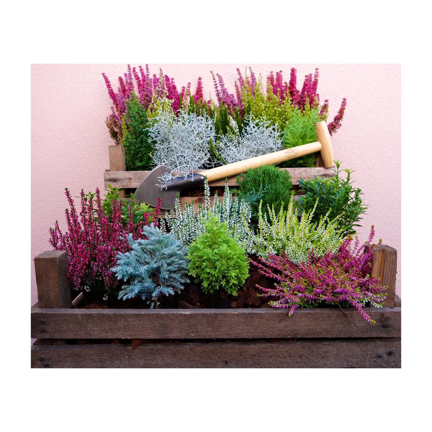 DeWit Spade - Perennial Long Handle -Ship Only