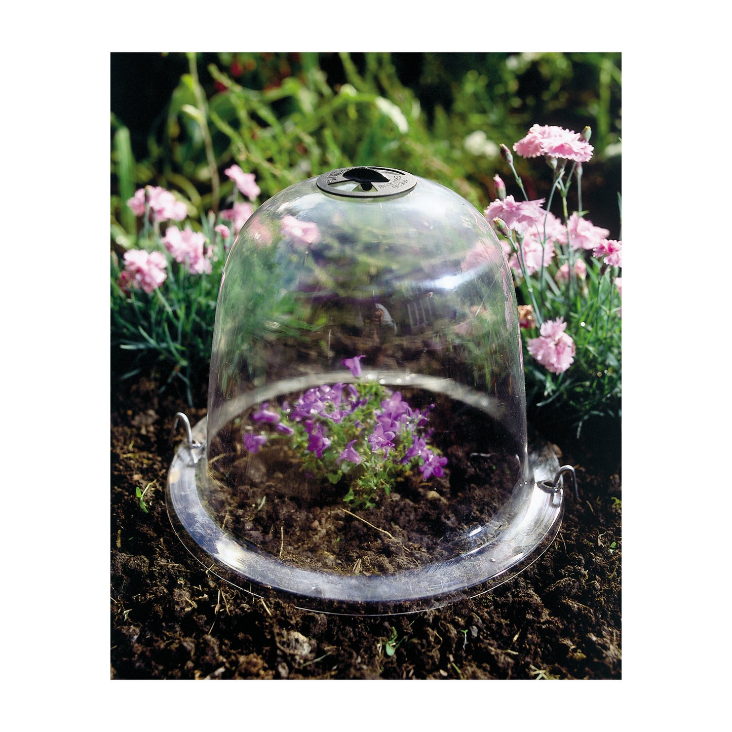 Baby Victorian Bell 3pk -Ship Only
