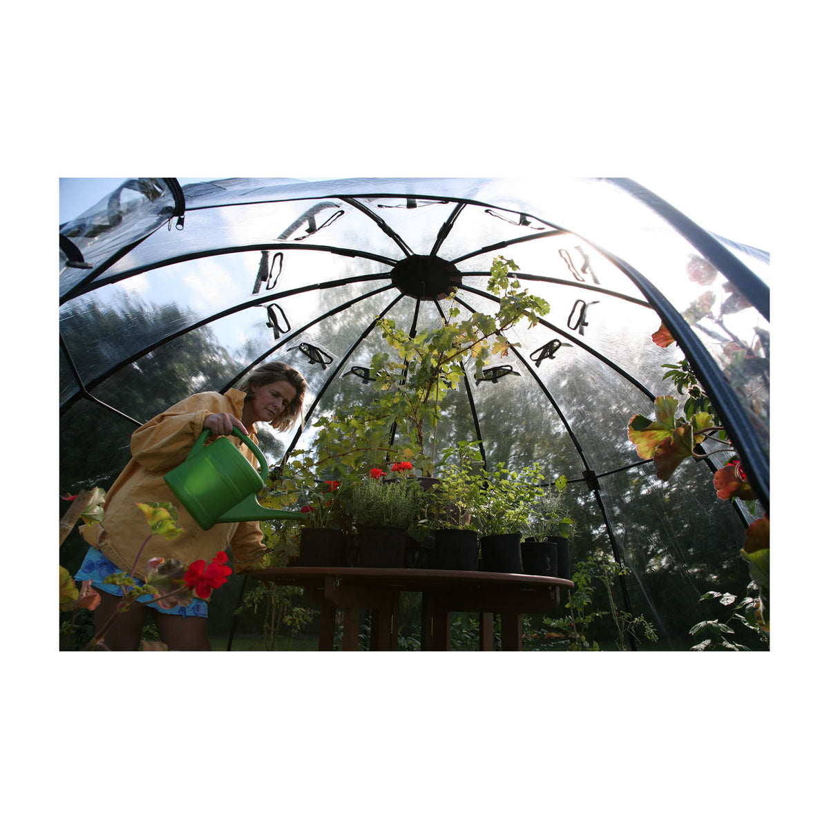 Large Sunbubble Greenhouse -Ship Only