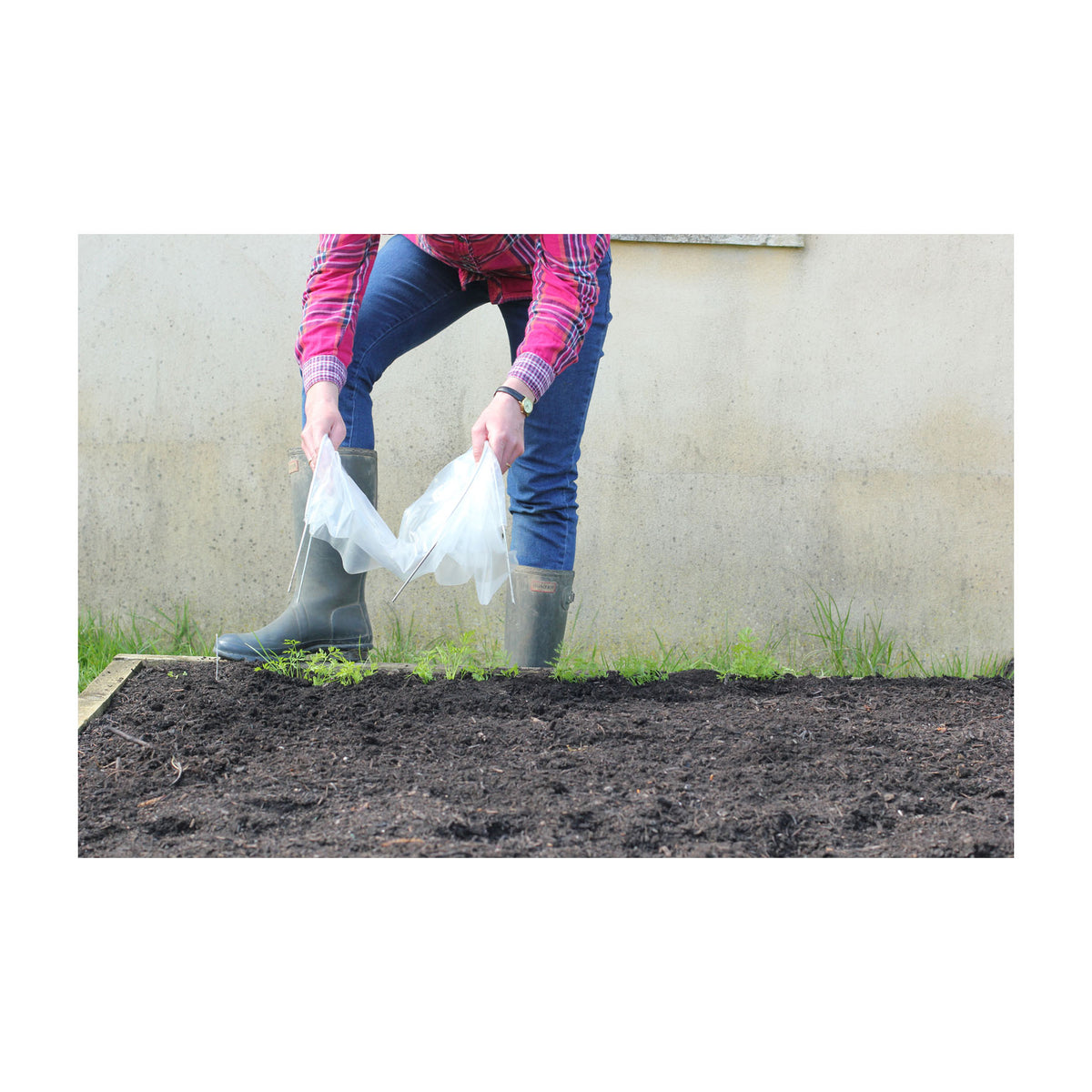 Easy Seedling Tunnel 3pk -Ship Only