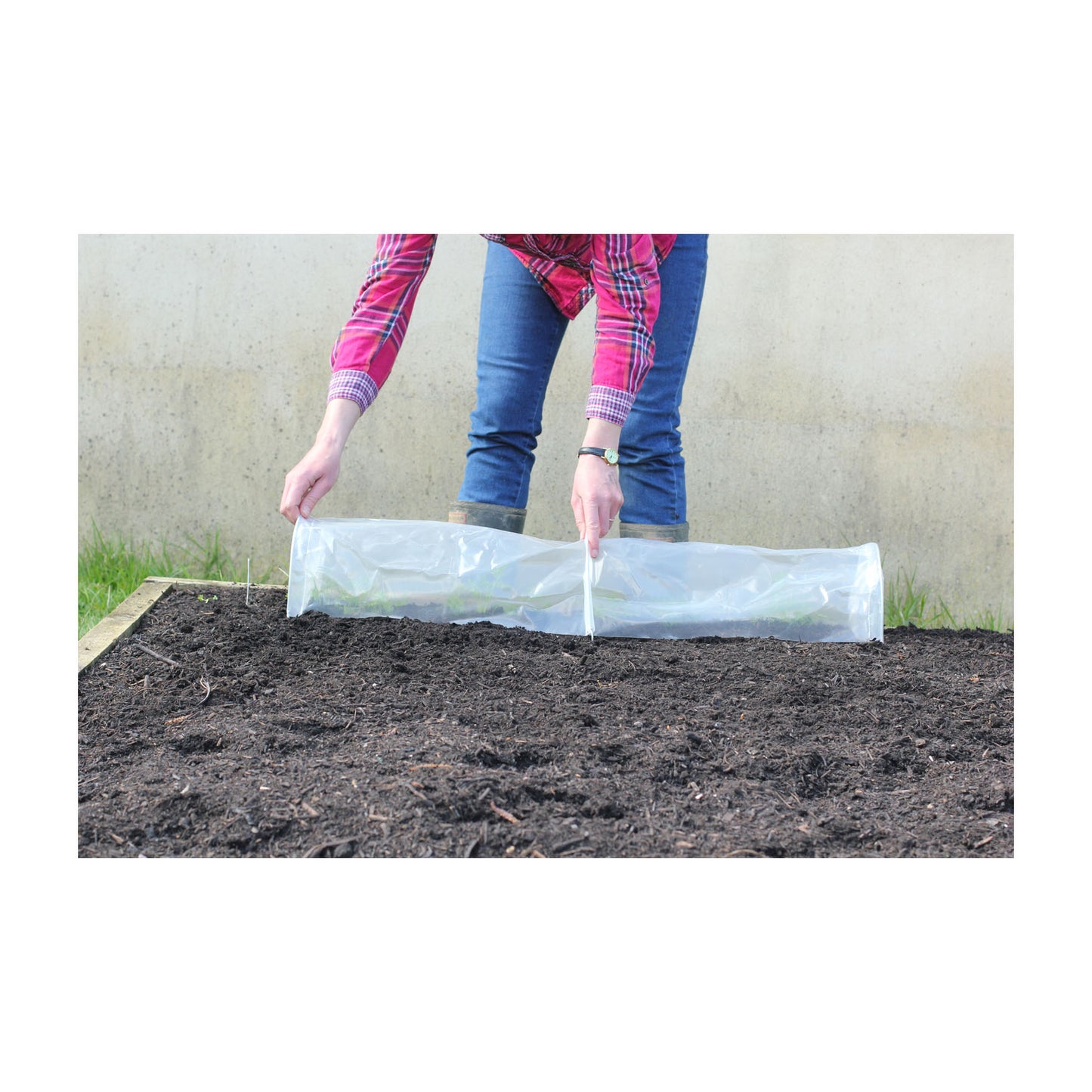 Easy Seedling Tunnel 3pk -Ship Only
