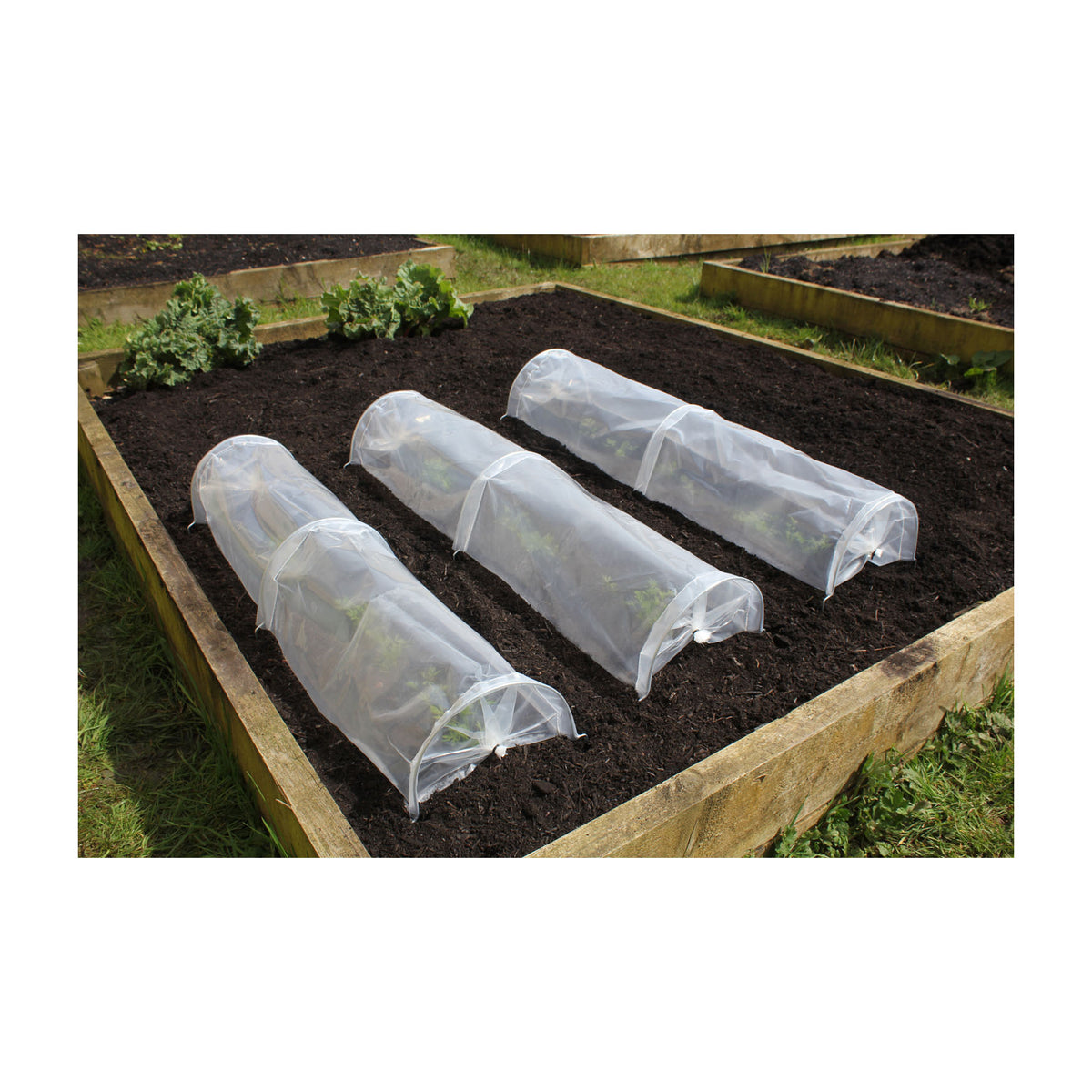Easy Seedling Tunnel 3pk -Ship Only