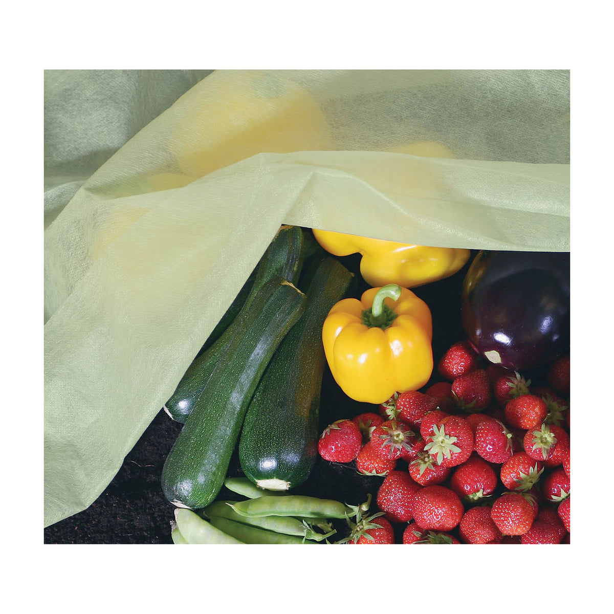 Extra Thick Fleece Blanket -Ship Only