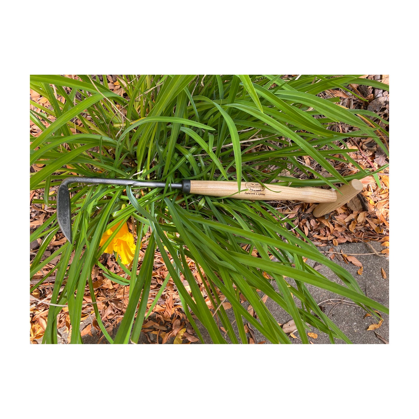 DeWit Weeder - Cape Cod Right Hand P-Grip -Ship Only