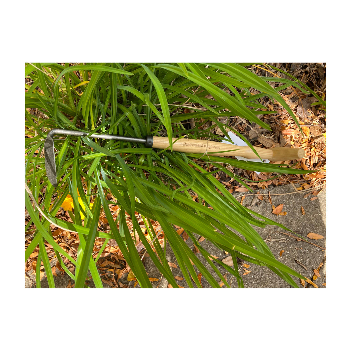 DeWit Weeder - Cape Cod Left Hand P-Grip -Ship Only