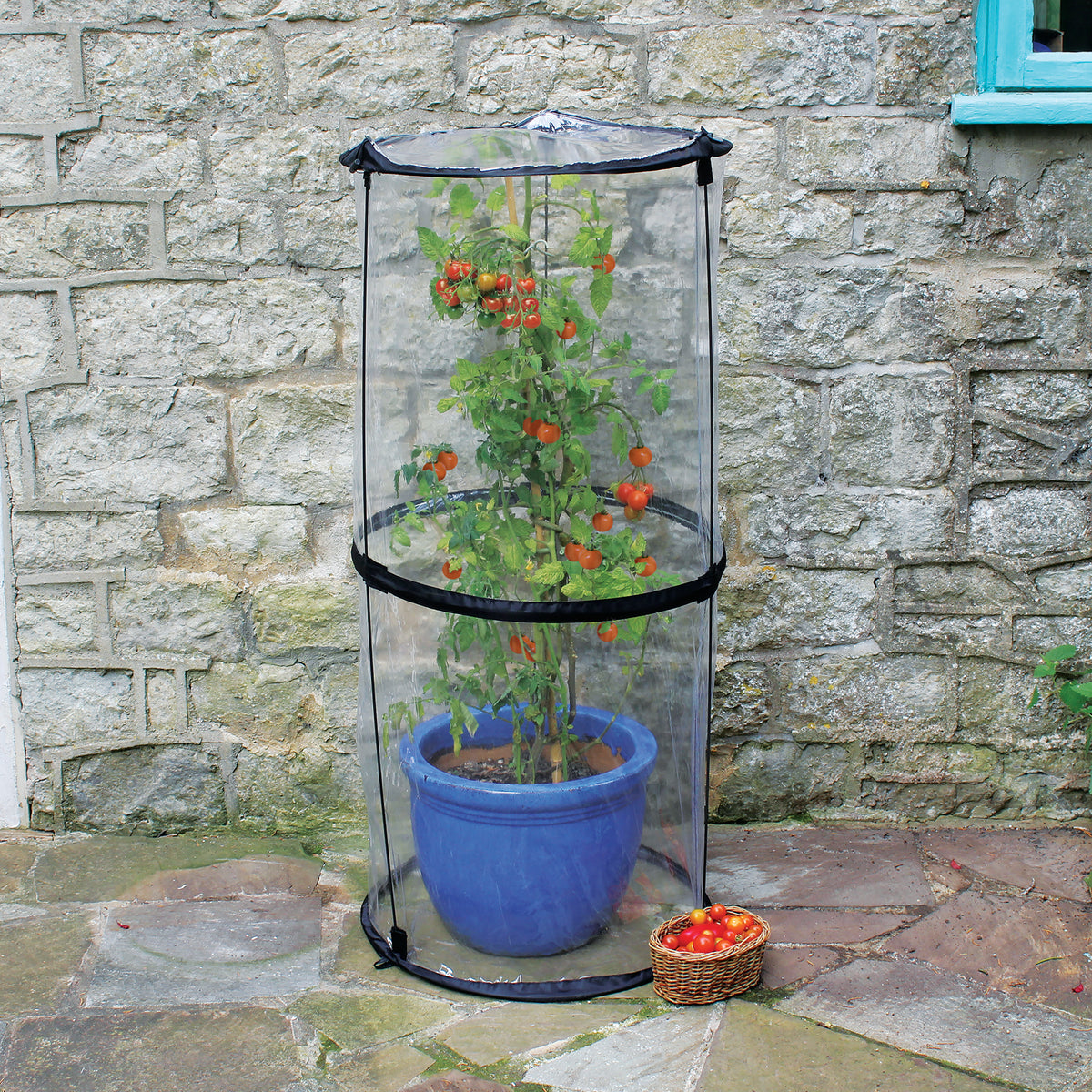 Twist Up Tomato Cloche -Ship Only