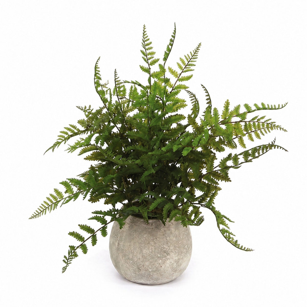 Potted Fern Plant in Grey Pot (Set of 3) -Ship Only